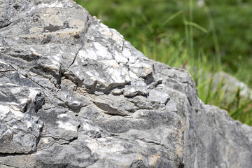 Close up Limestone in Akiyoshidai Quasi-National Park, Mine, Yamaguchi, JAPAN.