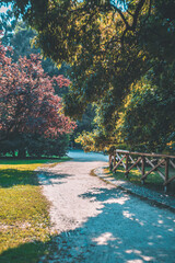 Obraz premium Parco Sempione di Milano di Settembre