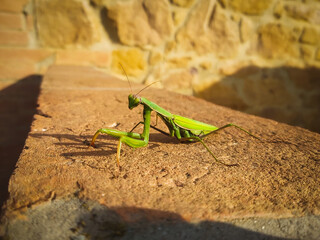Die direkten Nachbarn