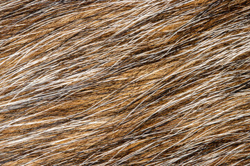 Mixed colored animal fur background