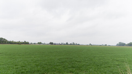 Agricultural fields in Zeeland near Millingen aan de Rijn, The Netherlands