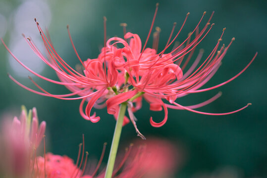 寂寥感 Images Browse 40 Stock Photos Vectors And Video Adobe Stock 寂寥感 Images Browse 40 Stock Photos Vectors And Video Adobe Stock