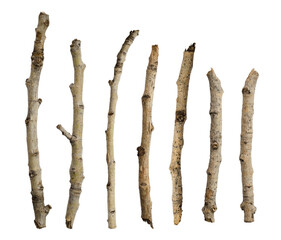 Sticks isolated on a white background without a shadow. Itams for scene creation