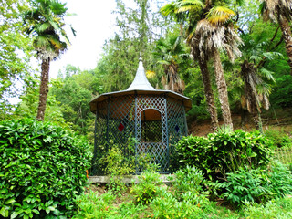 Gazebo with Palm and Green Vegetation