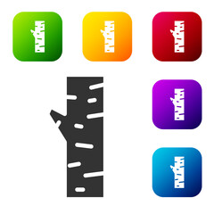Black Birch tree icon isolated on white background. Set icons in color square buttons. Vector.
