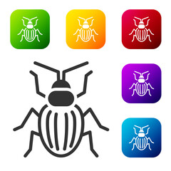 Fototapeta premium Black Chafer beetle icon isolated on white background. Set icons in color square buttons. Vector.