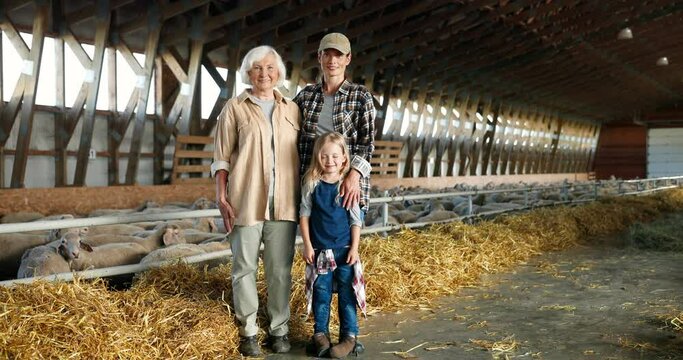 Portrait of Caucasian happy mother, old grandmother and cute small pretty girl in stable with sheep smiling to camera. old senior woman with daughter and granddaughter standing in barn with cattle.