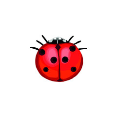 Cartoon vector illustration of ladybug