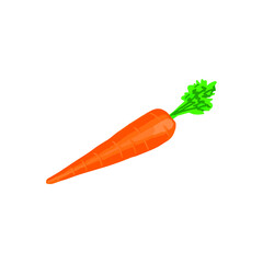 Vector illustration of carrot isolated on white background