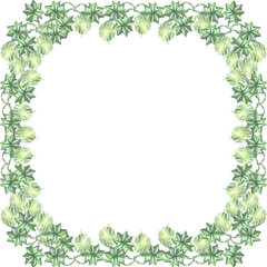 gooseberry plant frame watercolor