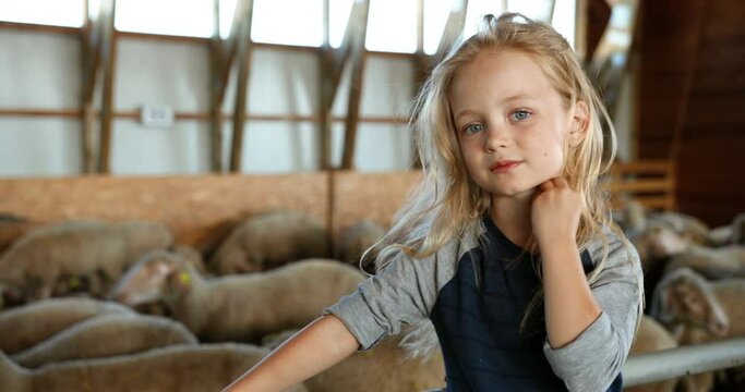 Portrait of Caucasian small teen beautiful girl with blond hair standing at sheep flock in barn and looking at camera. Indoors. close up of pretty little child at livestock stable. Farming kid.