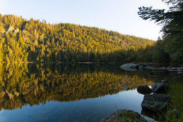 Feldsee am Feldberg, Schwarzwald