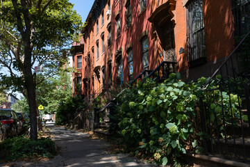 Row of Old Brownstone Homes in Clinton Hill in Brooklyn of New York City along an Empty Shaded Sidewalk