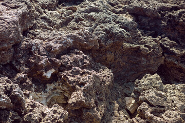 rock dotted with holes water on the rock