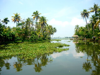 Obraz premium Backwaters Kerala