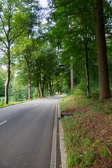 Forest Road