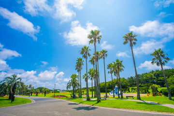 辻堂海浜公園