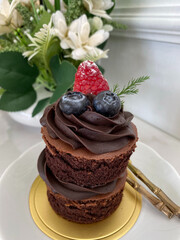 chocolate cake with berries