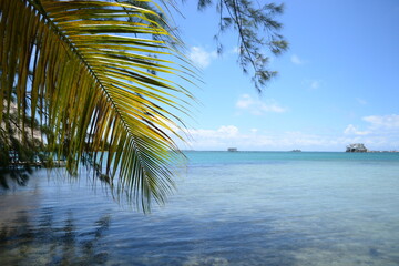 Isla tropial Guanaja en el caribe, de las Islas de la Bahía en Honduras