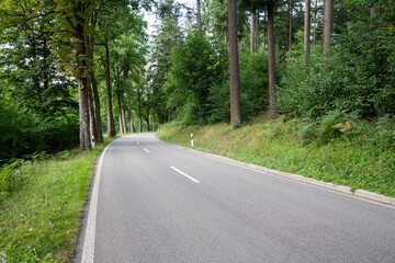 Fototapeta premium Forest Road