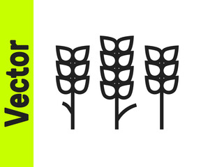 Black line Cereals set with rice, wheat, corn, oats, rye, barley icon isolated on white background. Ears of wheat bread symbols. Vector.