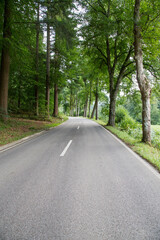 Forest Road