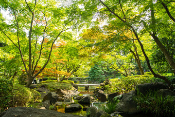 Obraz premium 杉並区立大田黒公園