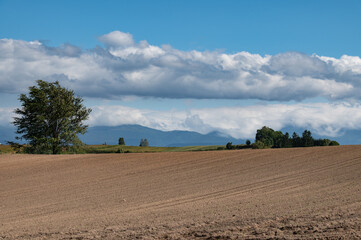 Obraz premium 美瑛秋の準備の大地