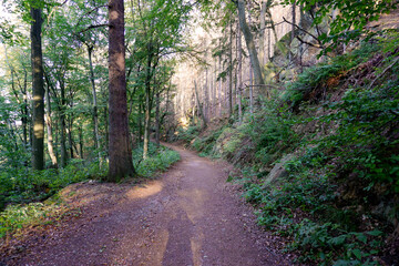Wanderweg zum Ilsestein bei Ilsenburg im Harz