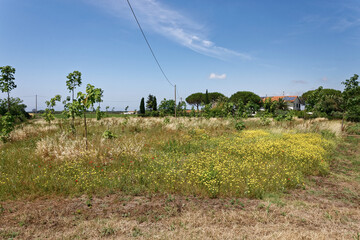 Italien - Toskana - Provinz Livorno - allgemein