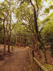 Parc du Mugel de la Ciotat adossé au Bec de l'Aigle. Allées arborées de palmiers, chêne-liège, bambous, plantes exotiques et aromatiques