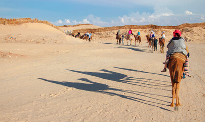 Group of tourists over dromedary camel walking in the sands