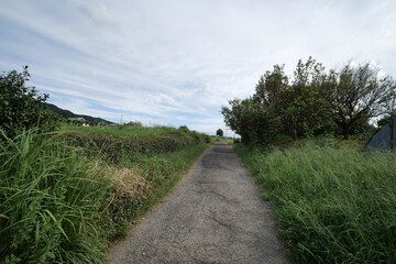 A view of a village deep in the mountains taken on a sunny day in the middle of summer