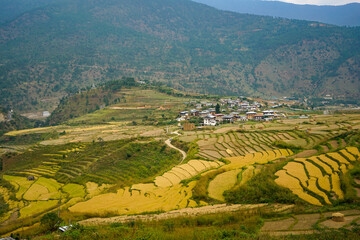 Fototapeta premium Bhutan, typical villages at the countryside in October