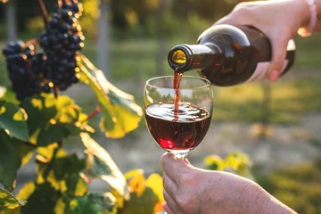 Küchenrückwand glas motiv Weingarten Frau gießt Rotwein im Weinberg