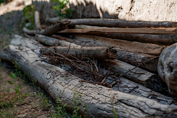 Stack of cut firewood in the garden
