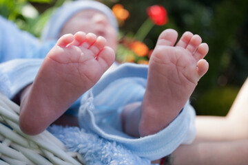 Stópki niemowlaka - obrazy, fototapety, plakaty