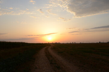 Sunrise over the field.