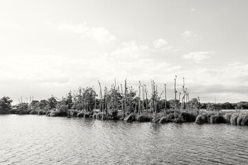 Künstlerische Luftaufnahme auf der Insel Usedom