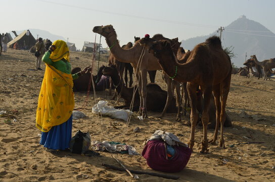 Rajasthani Culture Rajasthani Culture