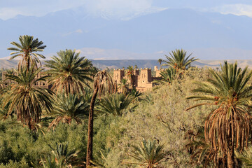 Fototapeta na wymiar Kasbah oasis in Morocco with High Atlas in the background