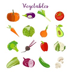 Set with vegetables icons carrot, mushrooms, tomato, leek, avocado, broccoli, eggplant, paprika, beet, salad, cabbage, onion, pumpkin, cucumber. Vector illustration
