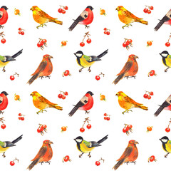 Watercolor colorful christmas pattern with forest birds, red  berries. White background.
