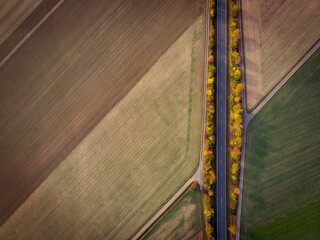 Herbst & Abendrot: Allee und Felder aus der Luft