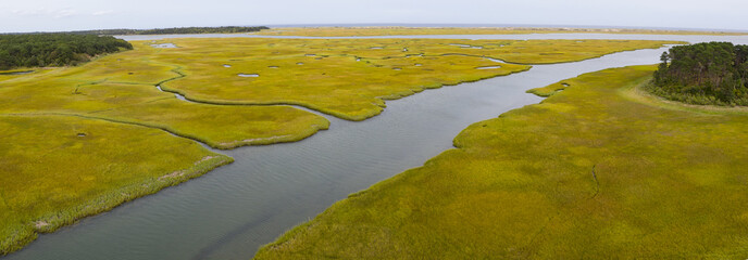 Salt marshes and estuaries are found throughout Cape Cod, Massachusetts. They provide calm nesting, feeding and breeding habitat for a variety of birds, fish, and marine invertebrates. 