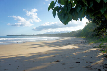 Beautiful wild tropical beach and sea views. Philippines. Palawan Island.