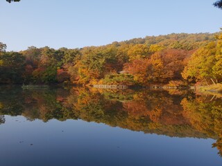 Autumn lake reflex