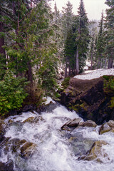 A roaring mountain stream in the Cascades in the winter with snow