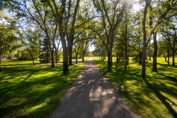 Urban park in regina