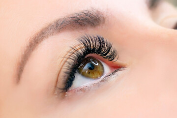 Eyelash extension procedure. Woman eye with long eyelashes. Close up